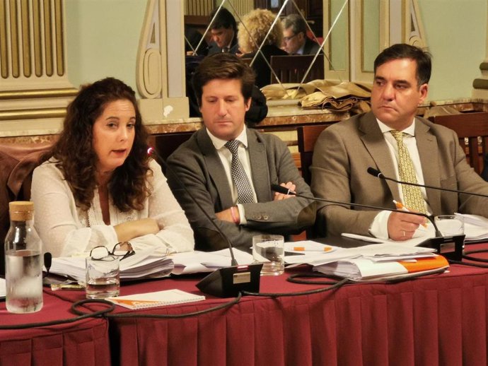Noelia Álvarez, Guillermo García de Longoria y Néstor Santos en un pleno municipal.