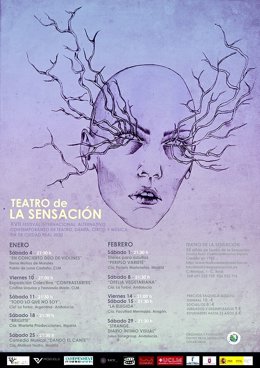 Cartel del certamen del Teatro de la Sensación de Ciudad Real.