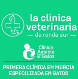 La Clínica Veterinaria de Ronda Sur en Murcia está especializada