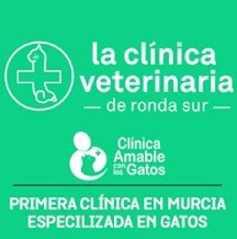 COMUNICADO: La Clínica Veterinaria de Ronda Sur lanza un plan de salud para gato
