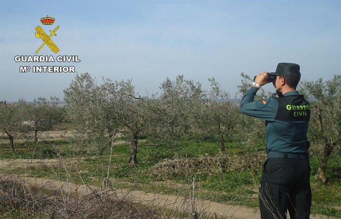 Actuación de la Guardia Civil, agente