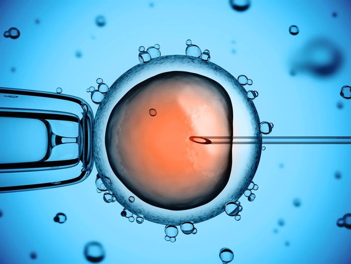 Investigador afirma que la creación de espermatozoides y óvulos 'artificiales' "