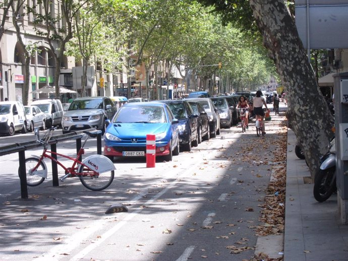Carril bici de la Ronda Sant Pau de Barcelona