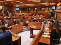 Dimite una diputada del grupo de Ciudadanos tras votar distinto a sus compañeros