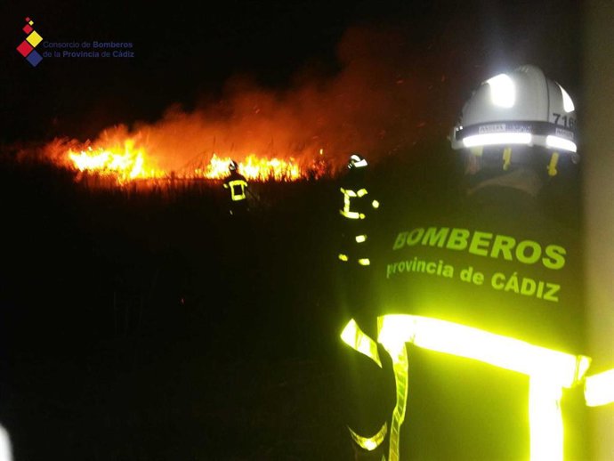 Efectivos de bomberos actúan en incendio en la Dehesa de las Yeguas en Puerto Real