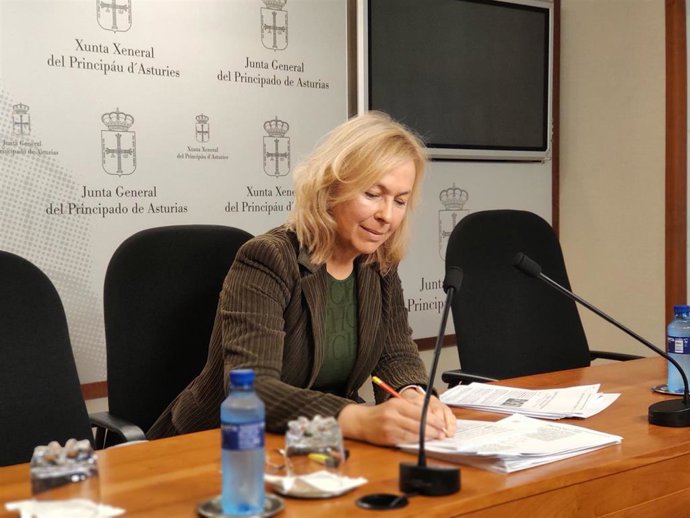 La diputada de Vox en la Junta General, Sara Álvarez Rouco