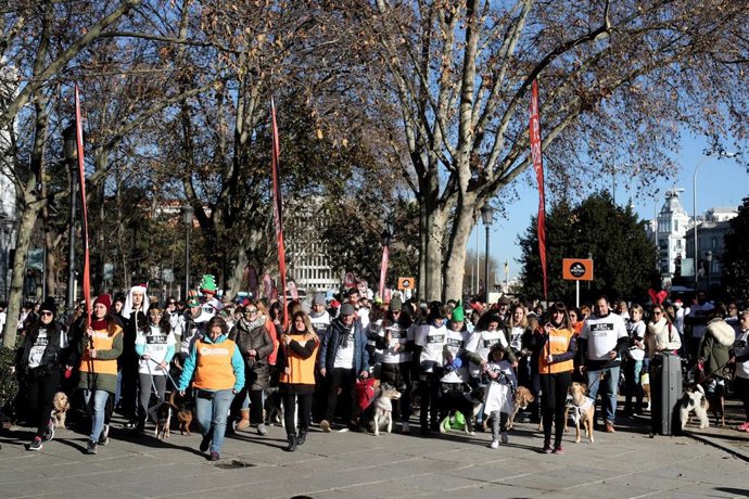 Algunos de los participantes de la Carrera Sanperrestre 2019, organizada por la protectora 'El Refugio', que pide la reforma del Código Penal para endurecer las penas por delitos de maltrato de animales, en Madrid (España), a 30 de diciembre de 2019.