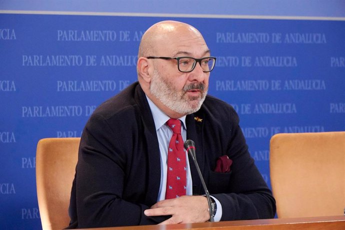 El portavoz parlamentario de Vox, Alejandro Hernández, en rueda de prensa en el Parlamento andaluz