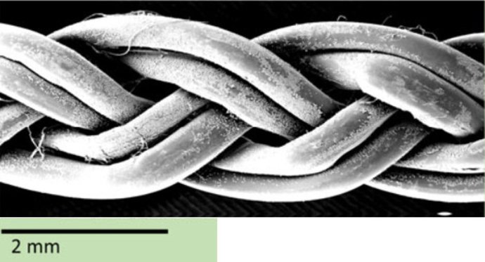 Trenzado producido a partir de seis hijuelas de gusano
