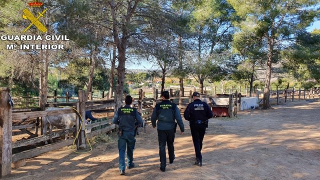 Explotación ganadera de Godelleta