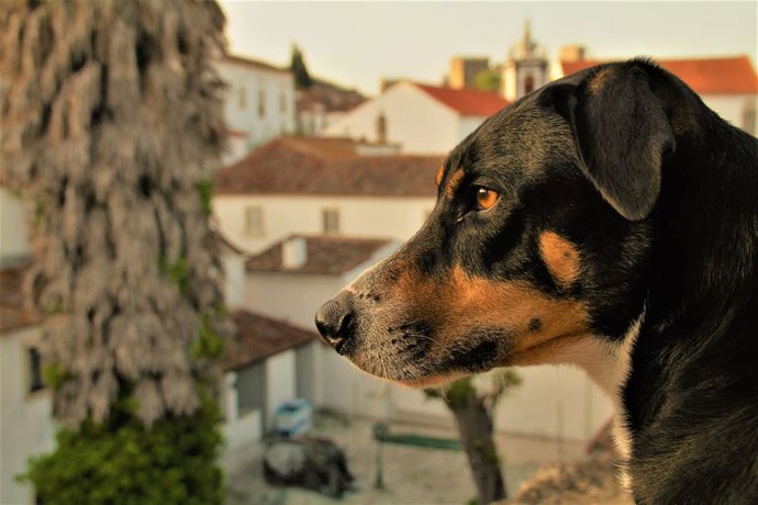 Una de las fotografías de la exposición