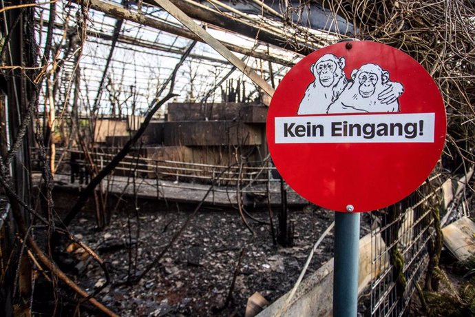 Zoológico de primates incendiado en Alemania
