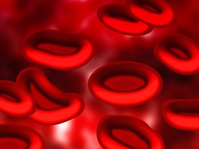Nanopartículas cargadas de fármacos adheridas a los glóbulos rojos inhiben la me
