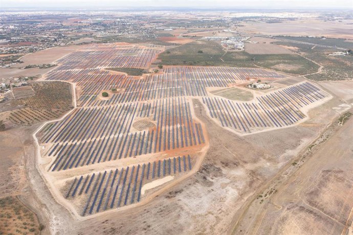 Planta fotovoltaica construida por OPDEnergy en Alcalá de Guadaíra (Sevilla).