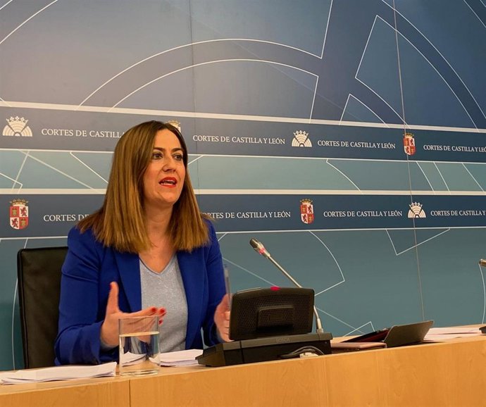 La viceportavoz del Grupo Parlamentario Socialista en las Cortes, Virginia Barcones.