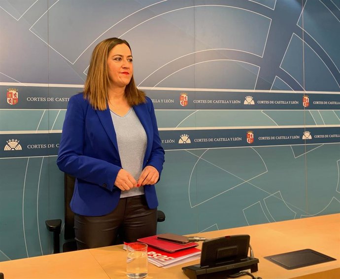 La vicesecretaria del Grupo Parlamentario Socialista, Virginia Barcones.