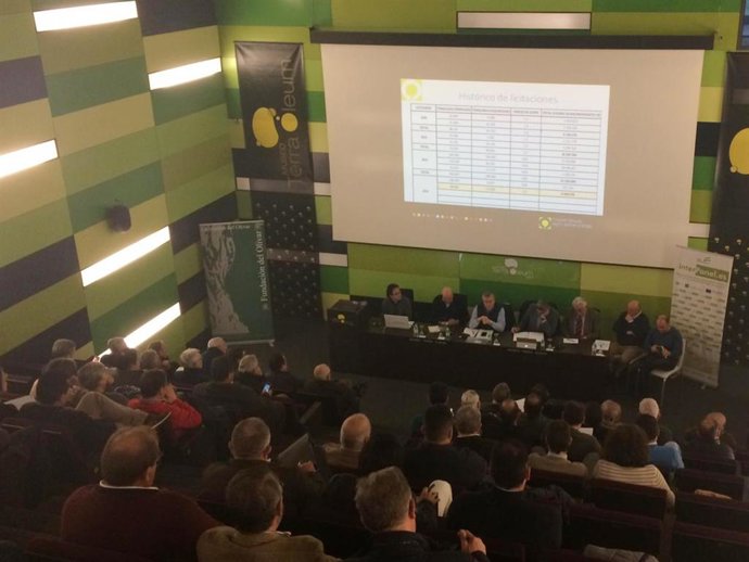 Cooperativas andaluzas piden almacenar 200.000 toneladas de aceite a un "precio 