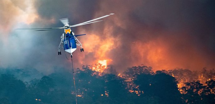 Australia.- Aumentan a 19 los muertos por los incendios en Australia ante la lle