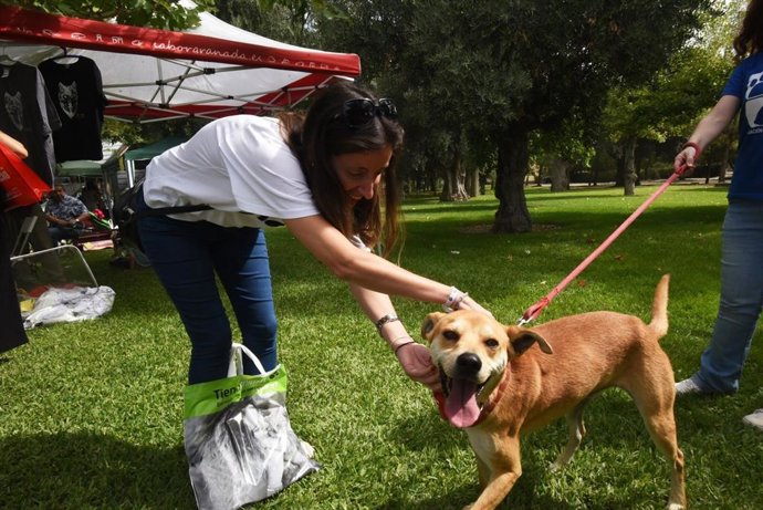 Nota Y Foto Feria De Adopción Animales