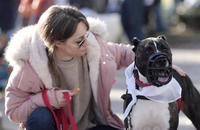 Una mujer junto a su perro, durante la Carrera Sanperrestre 2019, organizada por la protectora 'El Refugio', que pide la reforma del Código Penal para endurecer las penas por delitos de maltrato de animales, en Madrid (España), a 30 de diciembre de 2019.