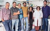 Foto: Realizan en España una tecnología en biomateriales para lesión medular