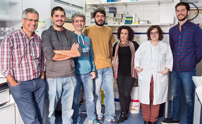 El Hospital Nacional de Parapléjicos y Universidad de Valladolid desarrollarán tecnología basada en biomateriales para la lesión medular.