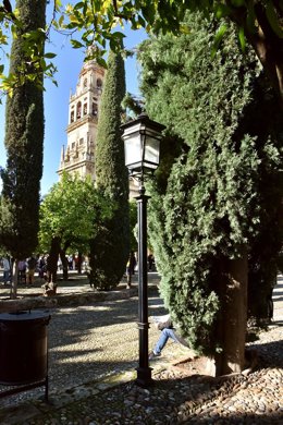La iluminación del Patio de los Naranjos de la Mezquita-Catedral de Córdoba