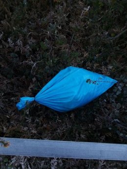 Saco con restos de animales descuartizados hallado en Allariz (Ourense)
