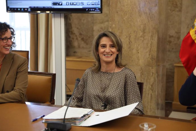 La ministra para la Transición Ecológica en funciones, Teresa Ribera (d), preside el Consejo Consultivo de Política Ambiental para Asuntos Comunitarios en la sede del Ministerio para la Transición Ecológica, un día después del término de COP25 en Madrid.