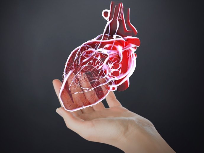 Simulación de corazón en 3D.