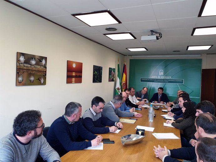 Málaga.-Junta espera que las obras de emergencia en caminos rurales afectados po