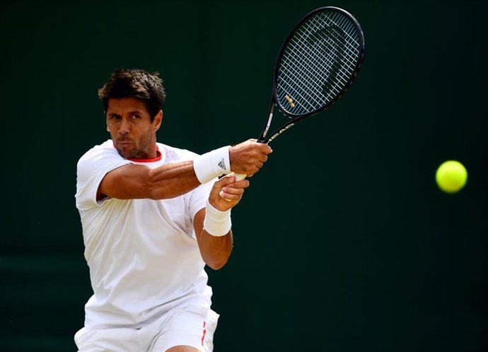 El tenista español Fernando Verdasco