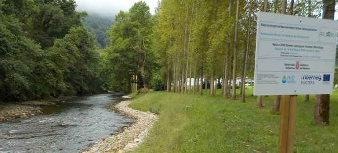 Detalle de obra de bioingeniería de restauración fluvial dentro del proyecto H2OGurea