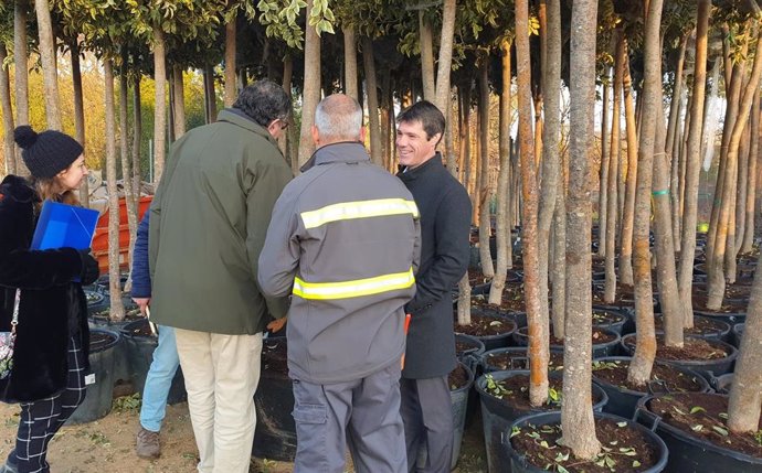 Nota De Prensa Y Foto Campaña Plantaciones