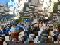 Fuertes aglomeraciones en las paradas del servicio alternativo de bus a la L4 de Metro, que el Consorcio reforzará