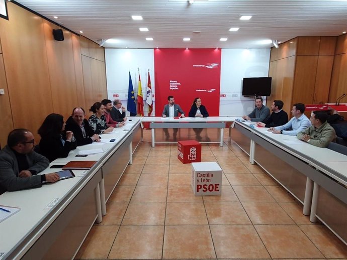 Luis Tudanca preside el Consejo Territorial del PSOE de Castilla y León