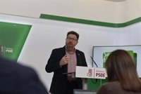 PSOE-A defiende que un Gobierno "tan andaluz" es "garantía de igualdad" y apoya a Delgado en Fiscalía