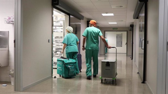 Los hospitales valencianos baten su récord histórico de donación con 255 donantes en 2019, un 6,7% más