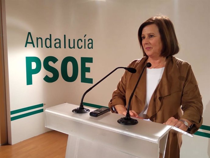 La parlamentaria andaluza del PSOE María José Sánchez Rubio