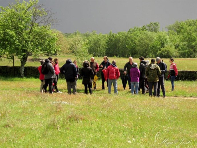 Iniciativa 'Bosque de oportunidades' para formar a 162 personas en el ámbito forestal