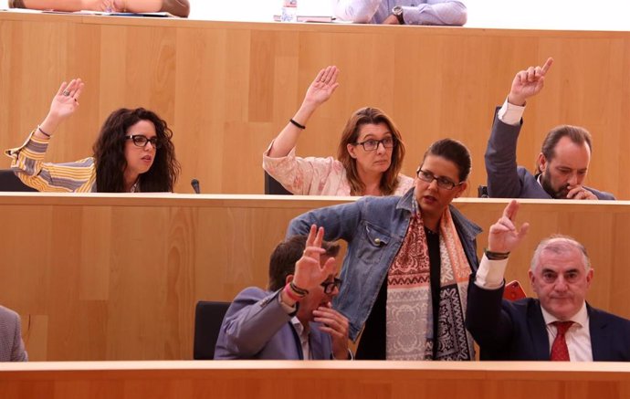 Votación en el pleno de la Diputación de Málaga en 2019