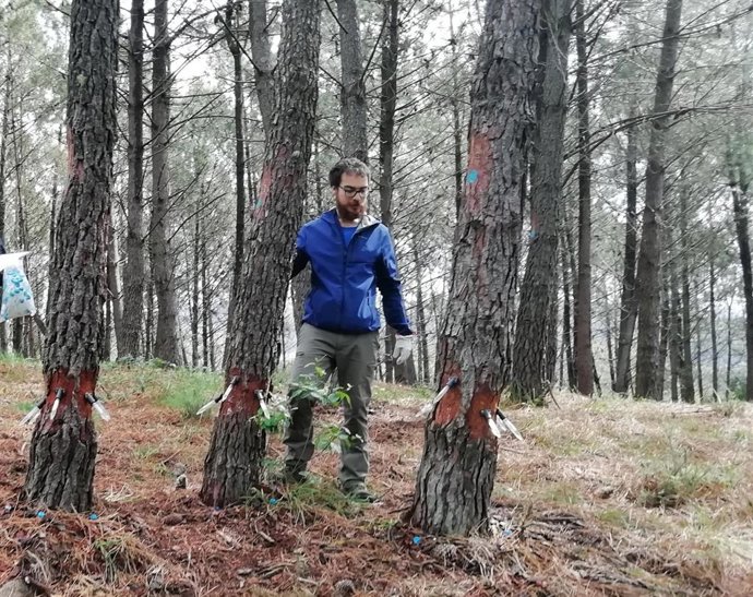 [Grupovigo] Nota De Prensa Del Csic Galicia