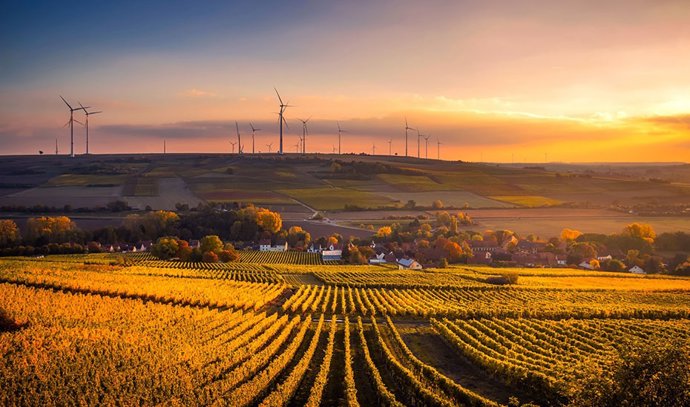 Consejo.-Junta apuesta con su 'Revolución verde' por "compatibilizar" conservaci