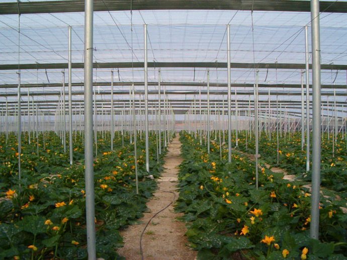 Almería.- Economía.- Junta concede 610.000 euros a Tecnova para realizar proyect