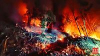 Activos cuatro incendios forestales de los 15 provocados en 24 horas