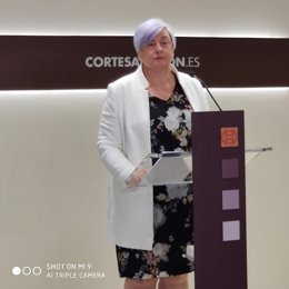 La diputada del PP, Pilar Gayán.