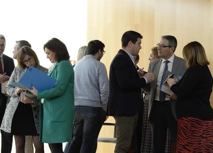 Pleno de la Diputación de Málaga de enero de 2020