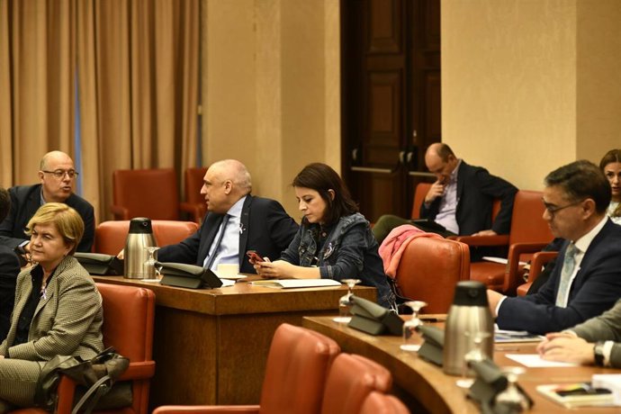 La portavoz del PSOE en el Congreso de los Diputados, Adriana Lastra, consulta el móvil, durante la reunión de la Diputación Permanente del Congreso