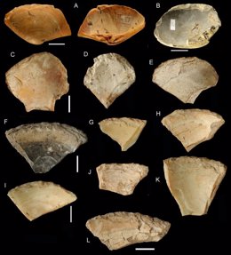 Los neandertales usaron caparazones de almejas como herramientas