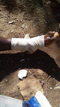 Una ONG asegura que 35 migrantes que quisieron entrar en Melilla fueron detenidos por Marruecos